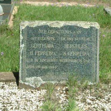 FERREIRA Gertruida H. 1894-1940 :: FERREIRA Hercules S. 