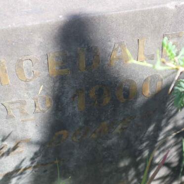 MAINE James, de 1844-1900