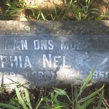 NEL Anna Sophia nee BUYS 1869-1958