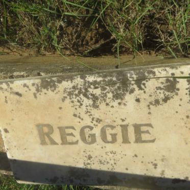 ? Reggie