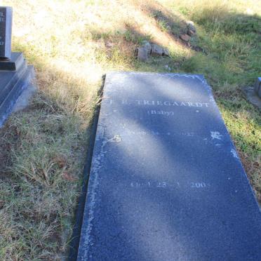TRIEGAARDT J. E. 1927-2004