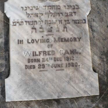 CAHI Wilfred 1912-1920
