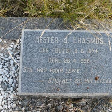 ERASMUS Hester J. nee BUYS 1874-1956