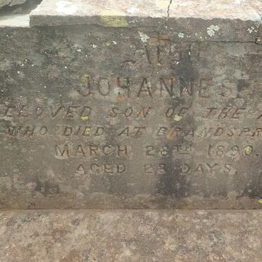 LOESCHER Johanne nee JOBMANN -1890 :: LOESCHER Johannes -1890