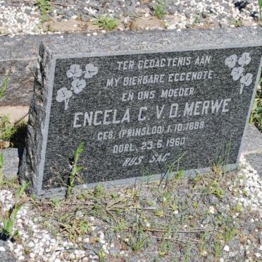 MERWE Engela C., v.d. nee PRINSLOO 1888-1960