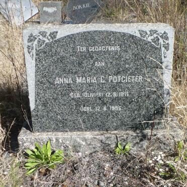 POTGIETER Anna Maria C. nee OLIVIER 1871-1956