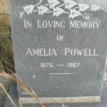 POWELL Amelia 1876-1967