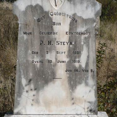 STEYN P.H. 1851-1919