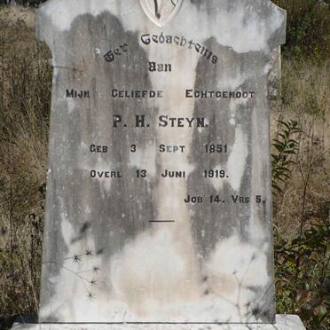 STEYN P.H. 1851-1919