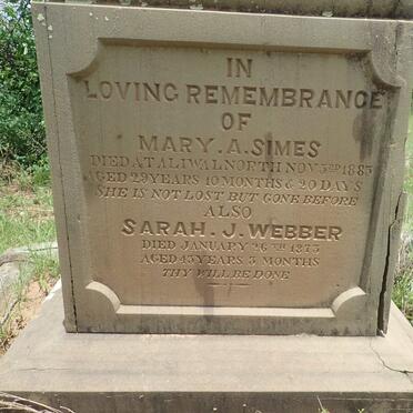 SIMES Mary A. -1883 :: WEBBER Sarah J. -1873