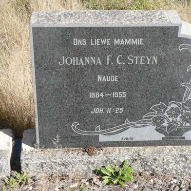 STEYN Hermanus H. 1876-1940 &amp; Johanna F.C. NAUDE 1884-1955