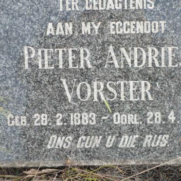VORSTER Pieter Andries 1883-1943