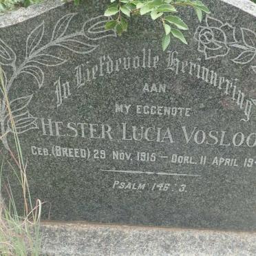 VOSLOO Hester Lucia nee BREED 1915-1947