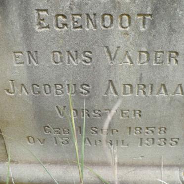 VORSTER Jacobus Adriaan 1858-1935