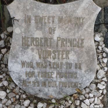 VORSTER Herbert Pringle
