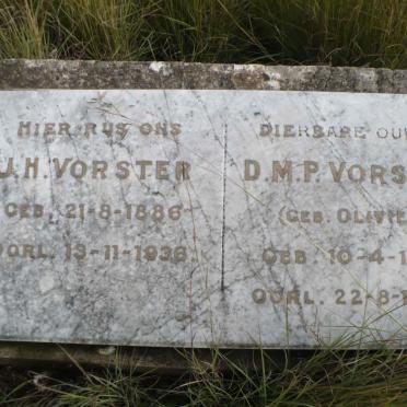 VORSTER J.H. 1886-1936 &amp; D.M.P. OLIVIER 1891-1936