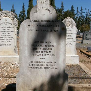 BIGGS James 1824-1900 &amp; Elizabeth WHEELDON -1923