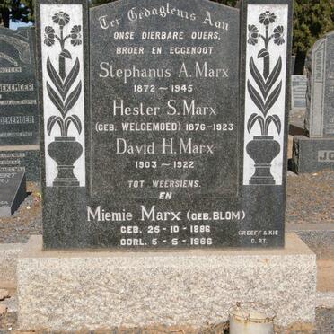 MARX Stephanus A. 1872-1945 &amp; Hester S. WELGEMOED 1876-1923 ::