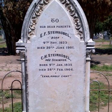 STEINHOBEL E.F. 1823-1901 &amp; C.H. SCHIMPER 1835-1904