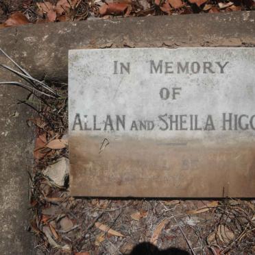 HIGGS Allan :: HIGGS Sheila
