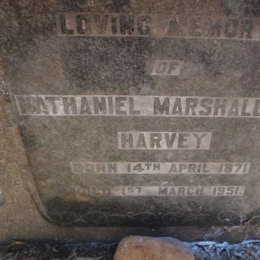 HARVEY Nathaniel Marshallsea 1871-1951