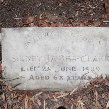 CLARK Sidney James -1929