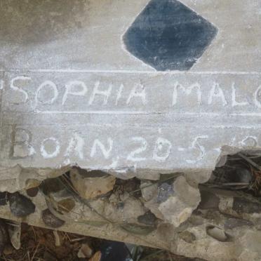 MALGAS Sophia 1889-1954