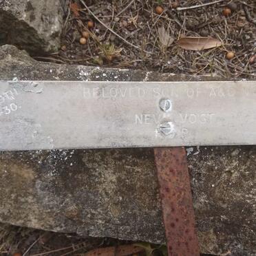 VOIGT Nevil 1930-1931