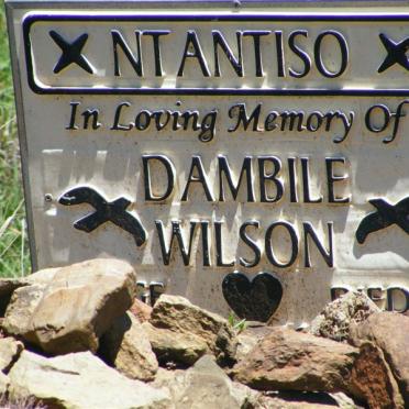 NTANTISO Dambile Wilson -2004 