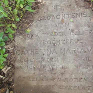 VOGEL Catherina Maria 1890-1891