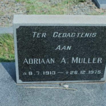 MULLER Adriaan A. 1913-1975
