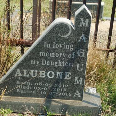 MAGUMA Alubone 2012-2016