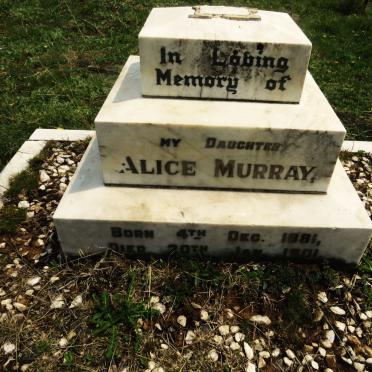 MURRAY Alice 1881-1901