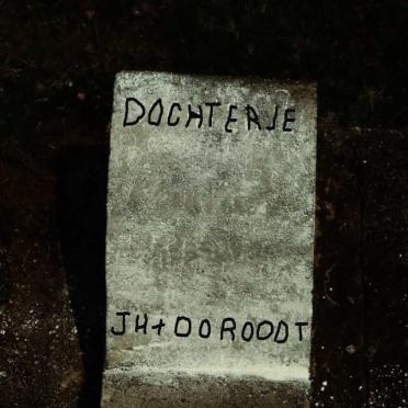 ROODT