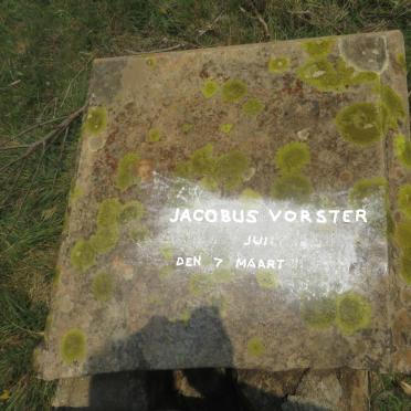 VORSTER Jacobus