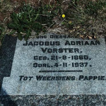 VORSTER Jacobus Adriaan 1860-1937