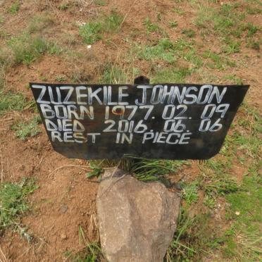 ZUZEKILE Johnson 1977-2016