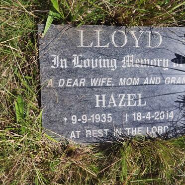 Eastern Cape, BATHURST district, Shaw Park, Methodist Church, Cemetery