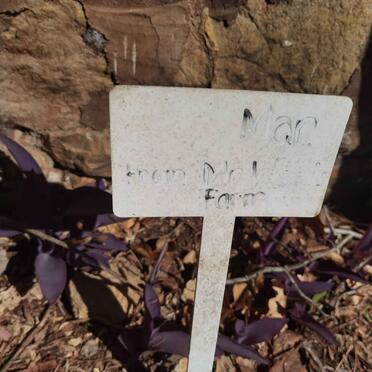 2. Unknown &amp; Illegible Graves