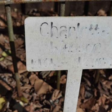 WESSON Charlotte -1904