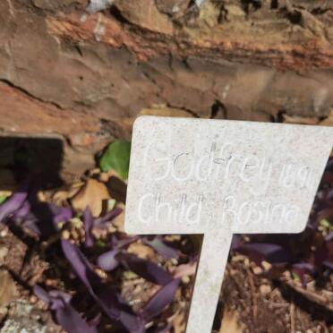 GODFREY Rosina -1894