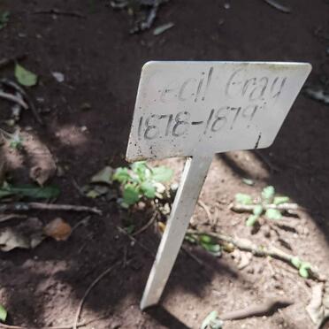 GRAY Cecil 1878-1879