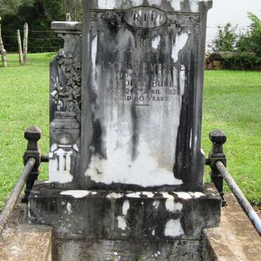 BULL Lydia Eveline -1931