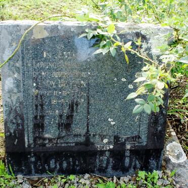 RICHARDSON Henry Denton 1873-1957