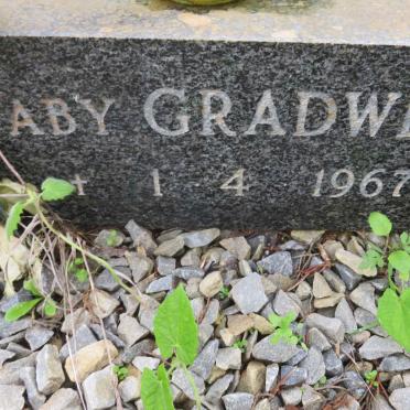 GRADWELL Baby -1967