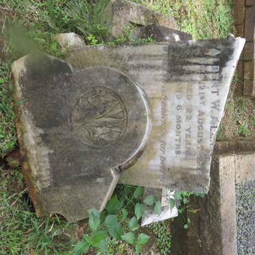 ALEXANDER Albert W. -1918