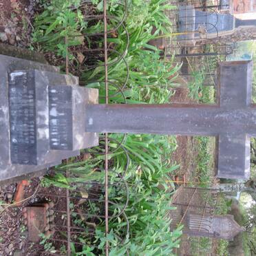 COOPER :: HODGKINSON