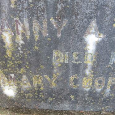 HODGKINSON Fanny A.B. Nee COOPER -1903 :: COOPER Mary -1907