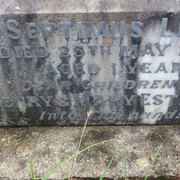 ESTMENT Henry James -1864 :: ESTMENT Amy Rebecca -1874 :: ESTMENT Septimus Levi -1876