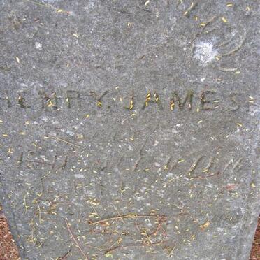 JAMES Henry